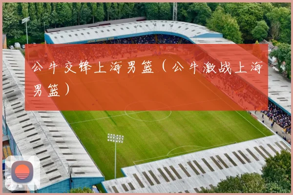 公牛交锋上海男篮（公牛激战上海男篮）