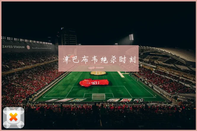 津巴布韦绝杀时刻