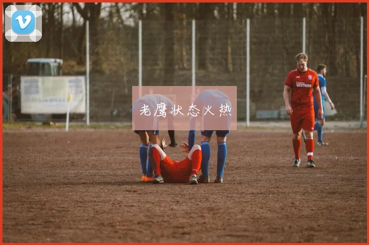 老鹰状态火热