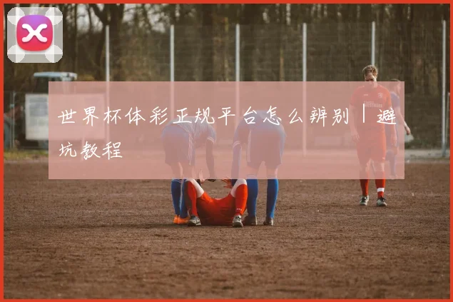 世界杯体彩正规平台怎么辨别｜避坑教程