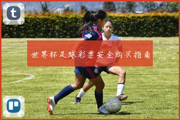 世界杯足球彩票安全购买指南